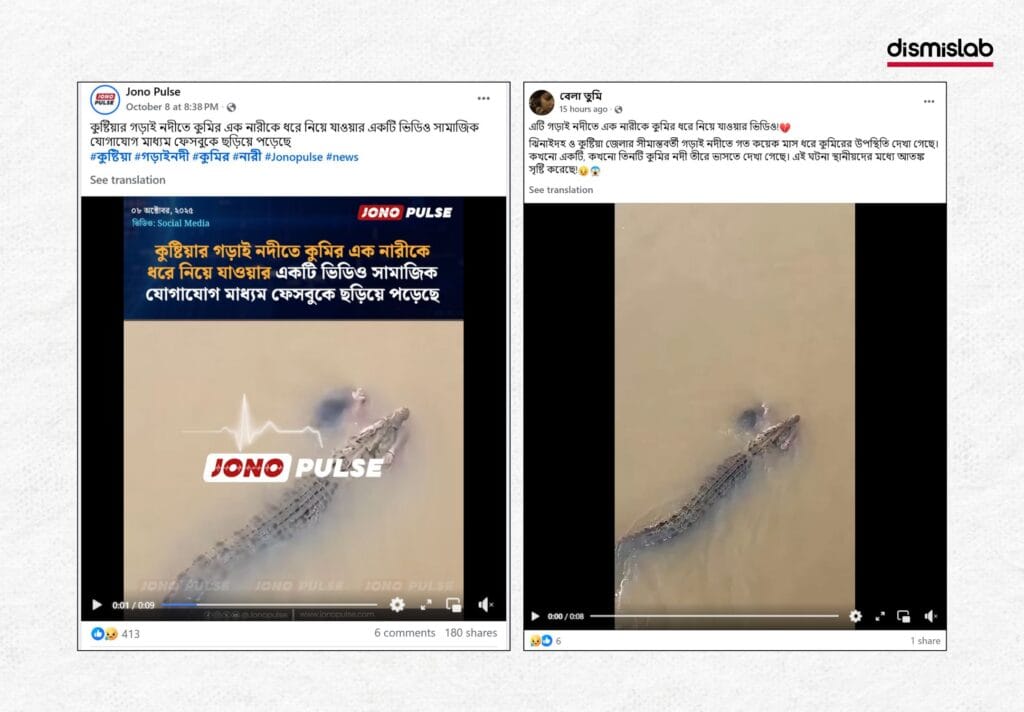 Video from India shared claiming to show a crocodile attack on a woman in Kushtia