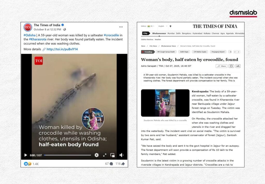 Video from India shared claiming to show a crocodile attack on a woman in Kushtia