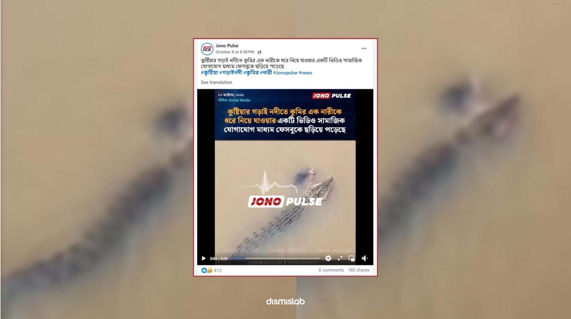 Crocodile Attack on a woman factcheck