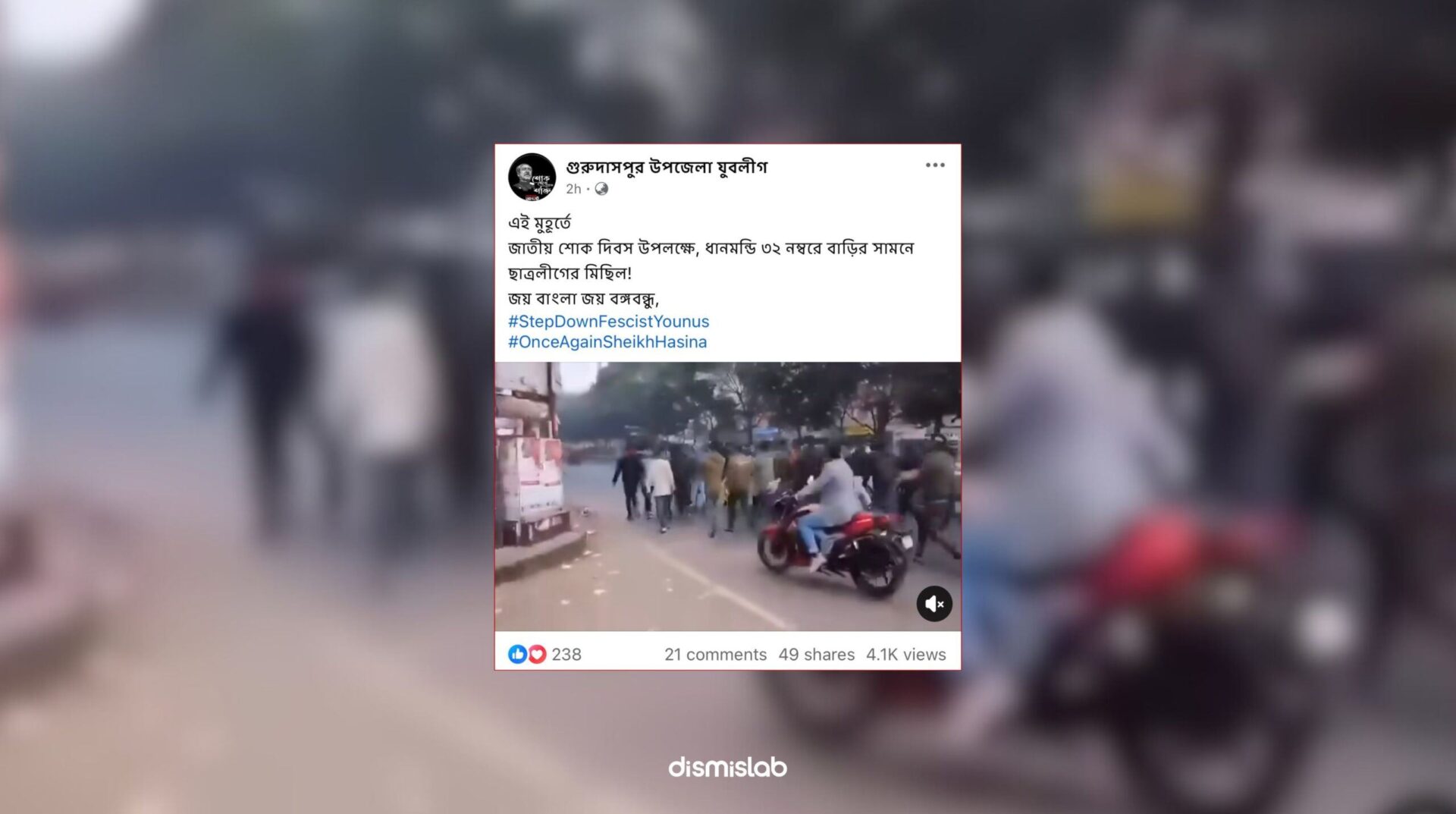 BSL procession on National Mourning Day video factcheck
