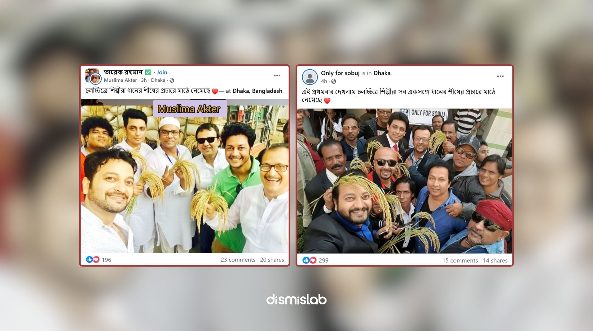 Photos of actors holding sheaves of paddy supporing BNP are doctored factcheck