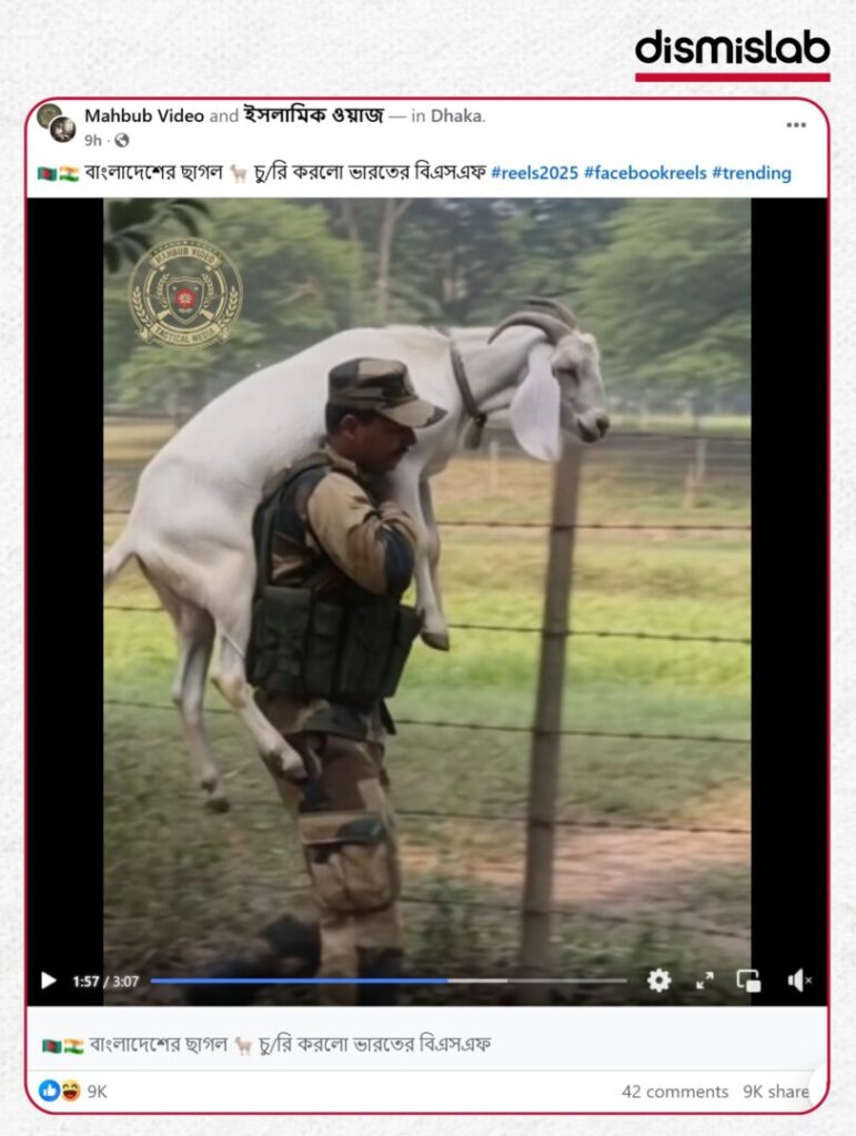 Fact-check: AI-generated video falsely claims India’s BSF stole a white goat at the Bangladesh border