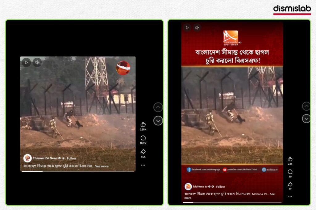 Fact-check: AI-generated video falsely claims India’s BSF stole a white goat at the Bangladesh border