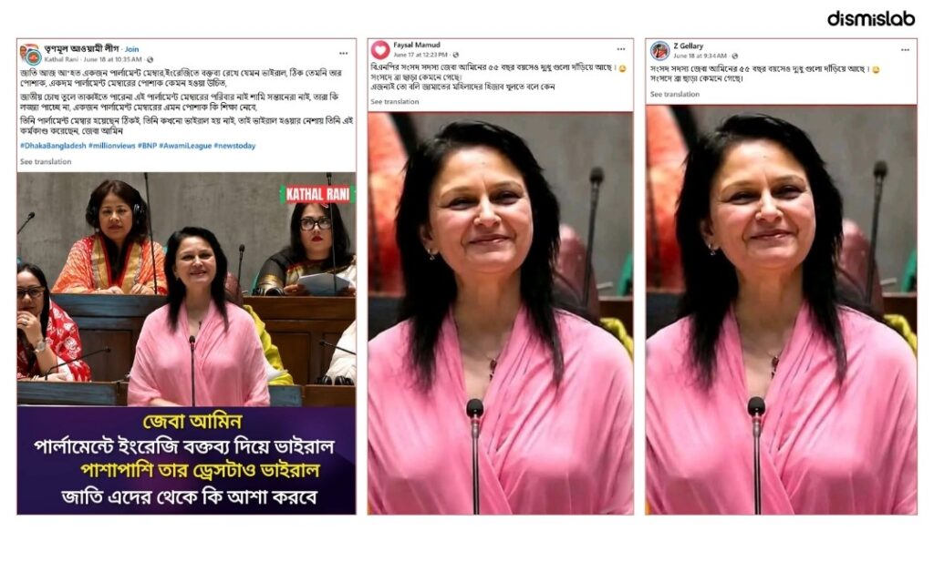 Zeba Amin subjected to sexual harassment disguised as criticism over parliament speech