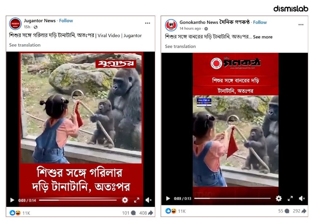 Factcheck Child & gorilla ai video